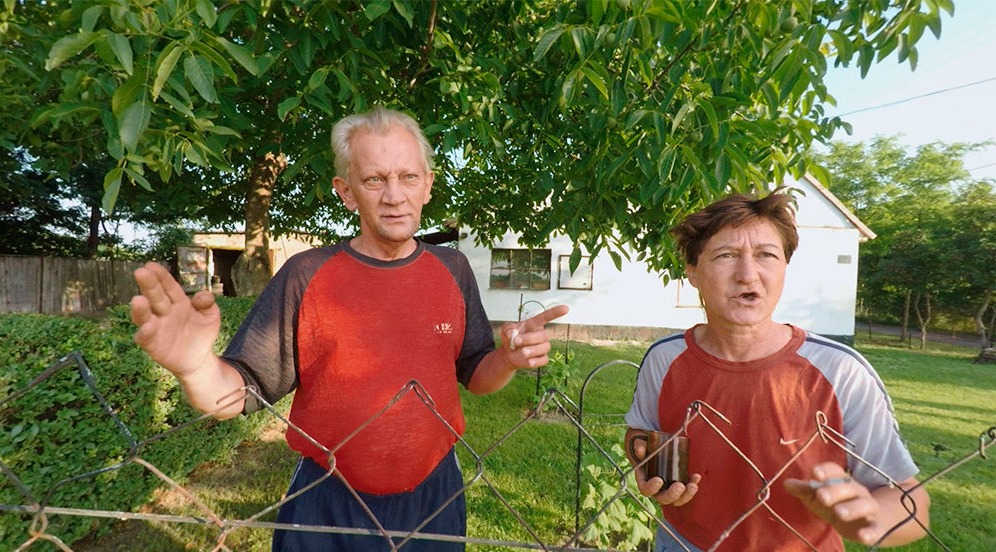 Encounter at the fence, Helvécia, Hungary